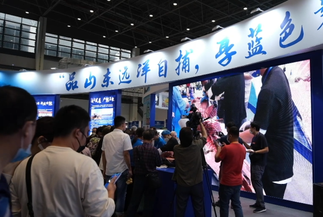 从海博会出发 行深致远向深蓝